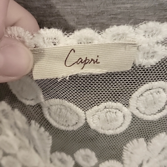 CAPRI embroidered sheer top - Picture 2 of 3